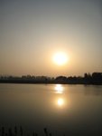 IMG_0816
