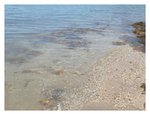 DSCN0780