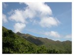 DSCN0784