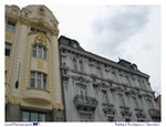 IMG039