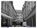 IMG041