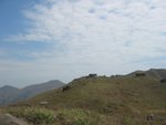 IMG_0034