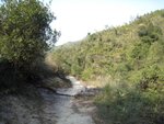 IMG_0487