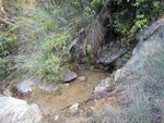 IMG_0488