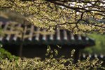 
Kyoto?

