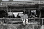 IMG_5298
