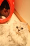 IMG_1704