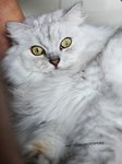 IMG_4790