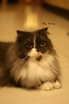 IMG_7566