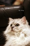 IMG_7574