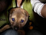 IMGP0225