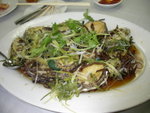 IMGP5802