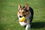 DSC_0173