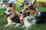 IMG_5112
