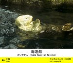 IMG_2292_pd