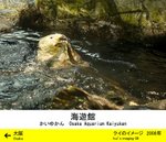 IMG_2296_pd