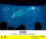 IMG_2386_pd