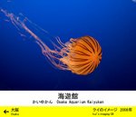 IMG_2419_pd