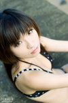 Venia10081504