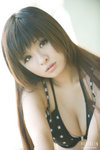 Venia10081506