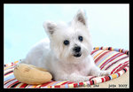 _DSC0029C1