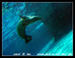 DSCN1758C1