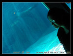 DSCN1771C1