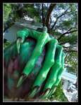DSCN1782C1