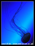 DSCN1821C1