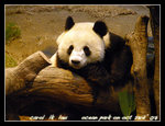 DSCN1973C1