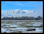 DSCN5585 copy