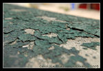 DSC_0020C1