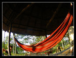 DSCN0279C1