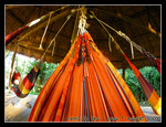 DSCN0281C1