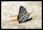 DSC_0171C1