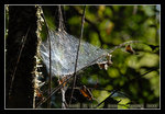 DSC_0192C1