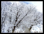 DSCN0936c1