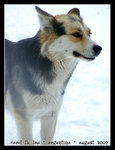DSCN0997C1