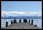 DSC_0008C1