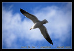 DSC_0657C1