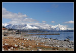 DSC_0689C1