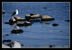 DSC_0711C1