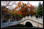 jingshan park 景山公園