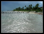 DSCN5277c1