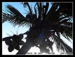 DSCN5298c1