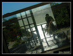 DSCN5321c1