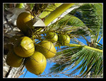 DSCN5339c1