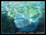 DSCN5388c2