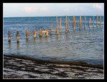 DSCN5445c1