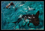 DSC_0188c1